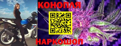 a pvp Лесосибирск