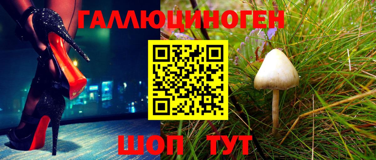 Галлюциногенные грибы Magic Shrooms Выборг